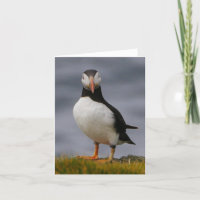 Puffin-Kaart