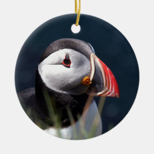 Puffin Keramisch Ornament (Voorkant)