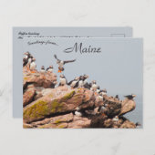 Puffin landing in Maine Briefkaart (Voorkant / Achterkant)