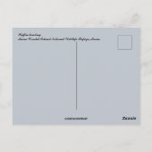 Puffin landing in Maine Briefkaart (Achterkant)