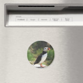 Puffin Magneet (Insitu (Vaatwasser))
