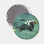 Puffin Magneet (Voorkant / Achterkant)