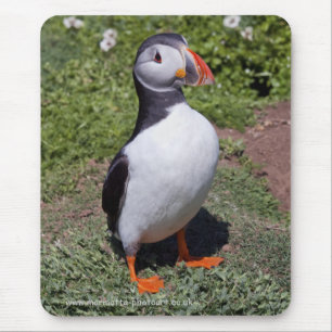 Puffin Mousemat Muismat