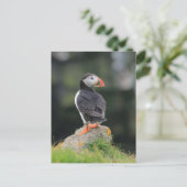 Puffin on a Rock Briefkaart (Staand voorkant)