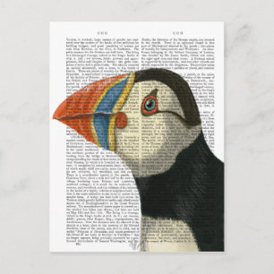 Puffin Portrait Briefkaart