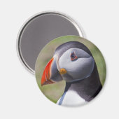 Puffin Portrait Magnet (Recto/Verso)