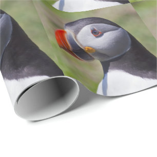 Puffin Portrait Wrapping Paper Cadeaupapier