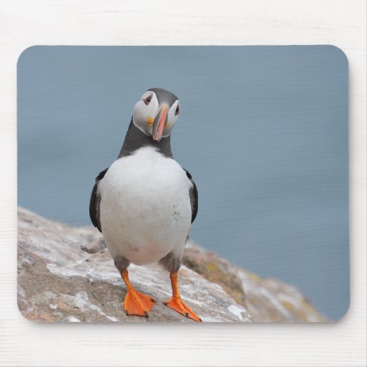 Puffin Pose Muismat (Voorkant)