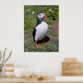 Puffin Print (Keuken)