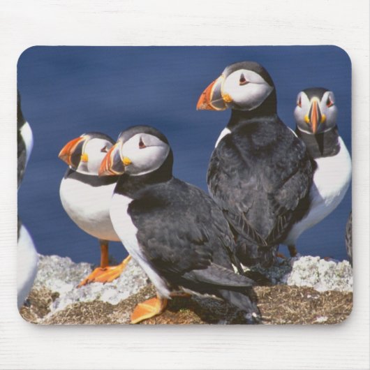 Puffin-tastic Muismat (Voorkant)