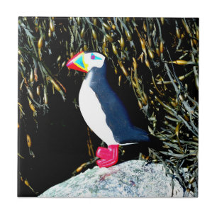 puffin tegeltje