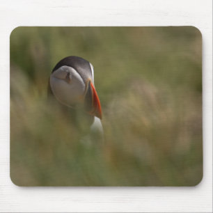 Puffin verbergen en zoeken muismat
