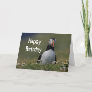 Puffin Verjaardag Groeten Kaart