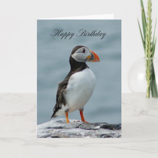 Puffin Verjaardag wenskaart Kaart (Voorkant)