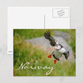 Puffin volant en Norvège carte postale (Devant / Derrière)
