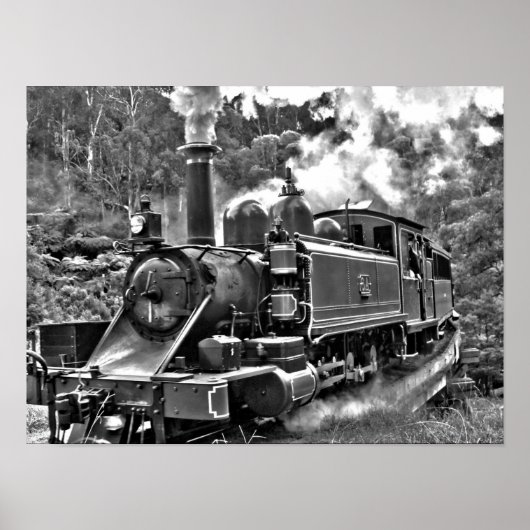 Puffing Billy Old Fashioned Steam Train Poster (Voorkant)