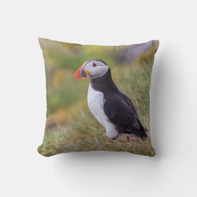 Puffinkussen Kussen (Voorkant)