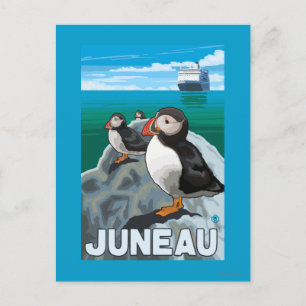 Puffins & Cruise Ship - Juneau, Alaska Briefkaart