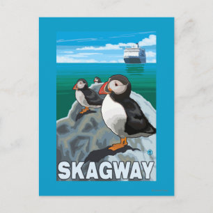Puffins & Cruise Ship - Skagway, Alaska Briefkaart