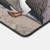 Puffins de l'Atlantique (Coin)