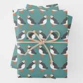 Puffins die papierbladen overvullen inpakpapier vel (In situ)