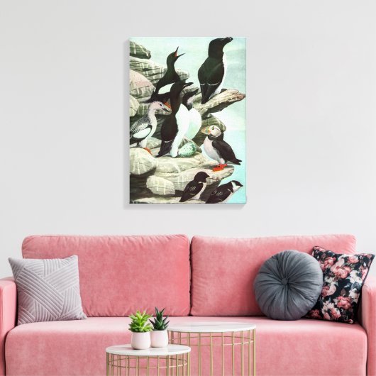 Puffins en watervogels van Louis Fuertes Canvas Afdruk (Insitu (Woonkamer))