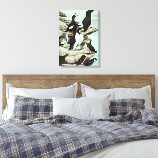 Puffins en watervogels van Louis Fuertes Canvas Afdruk (Insitu (Slaapkamer))