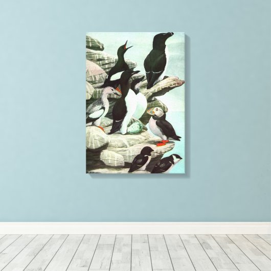 Puffins en watervogels van Louis Fuertes Canvas Afdruk (Insitu (Houten vloer))