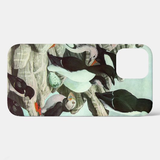 Puffins en watervogels van Louis Fuertes Case-Mate iPhone Case (Achterkant (horizontaal))