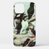 Puffins en watervogels van Louis Fuertes Case-Mate iPhone Case (Achterkant)
