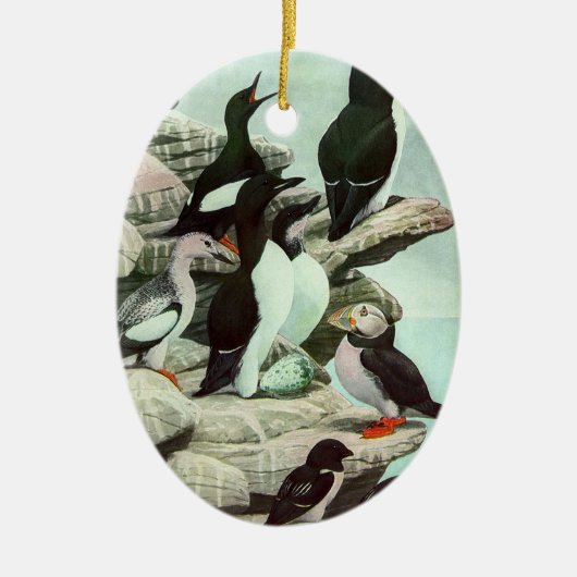  Puffins en watervogels van Louis Fuertes Keramisch Ornament (Voorkant)
