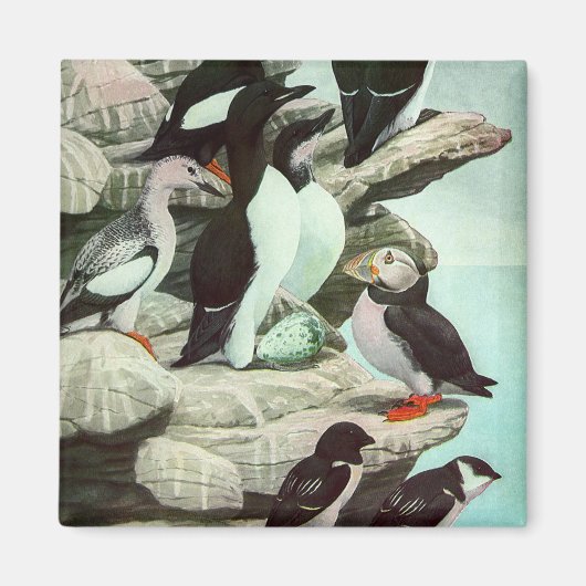 Puffins en watervogels van Louis Fuertes Magneet (Voorkant)