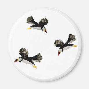 Puffins in de lucht magneet