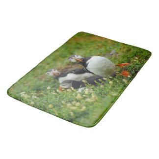 Puffins - little birds big badmat