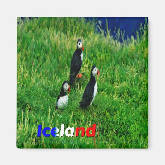 Puffins Magneet (Voorkant)