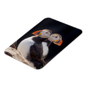 Puffins Magneet (Linkerzijde)
