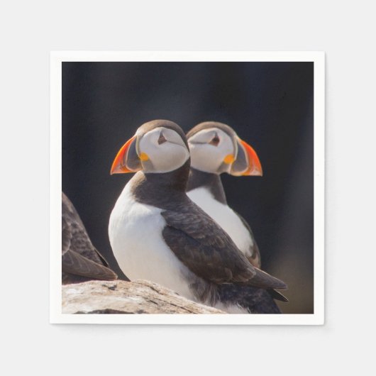 Puffins Servet (Voorkant)
