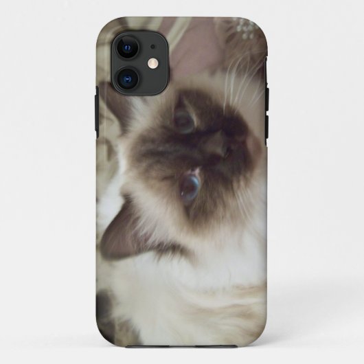 Puffo the cat I-Phone case (Achterkant)