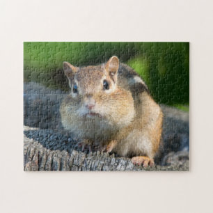 Puffy Cheeked Chipmunk Legpuzzel