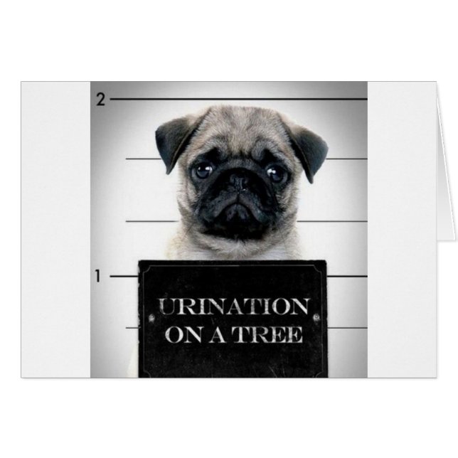 Pug (Voorkant Horizontaal)