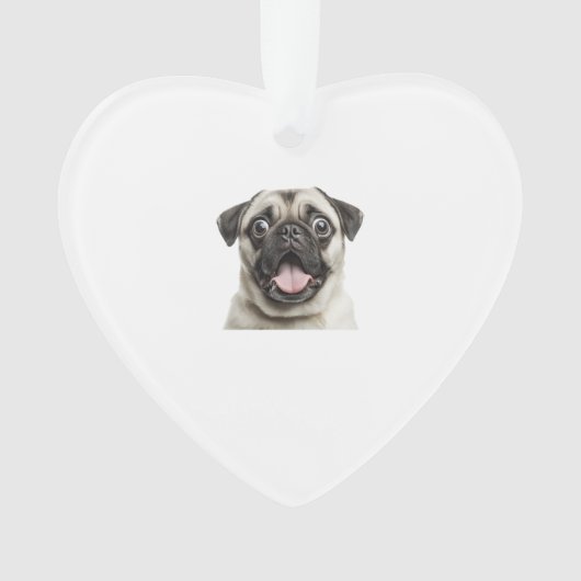 pug (devant)
