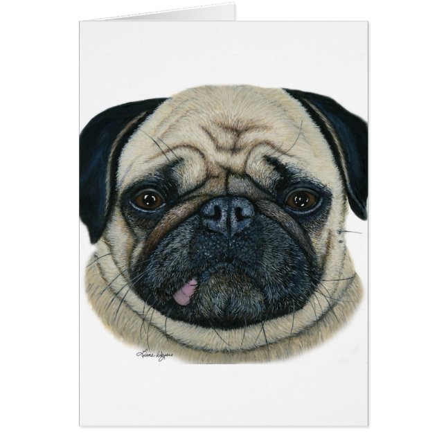 Pug (Voorkant)