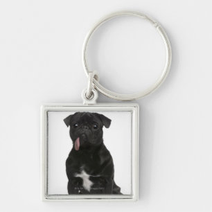 Pug (1 jaar oud) zit met zijn tong aan het hangen sleutelhanger