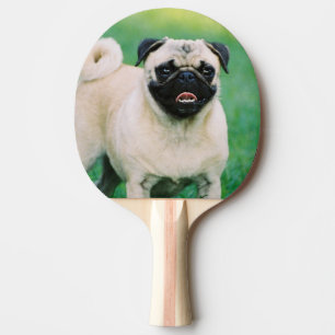pug-30.jpg tafeltennisbatje
