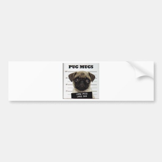 pug_5 bumpersticker (Voorkant)