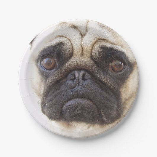 pug-7 papieren bordje (Voorkant)