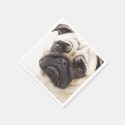 PUG-7 SERVET (Hoek)