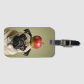 Pug Appel Bagagelabel (Voorkant (horizontaal))