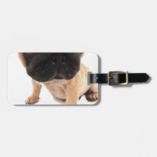 Pug Bagagelabel