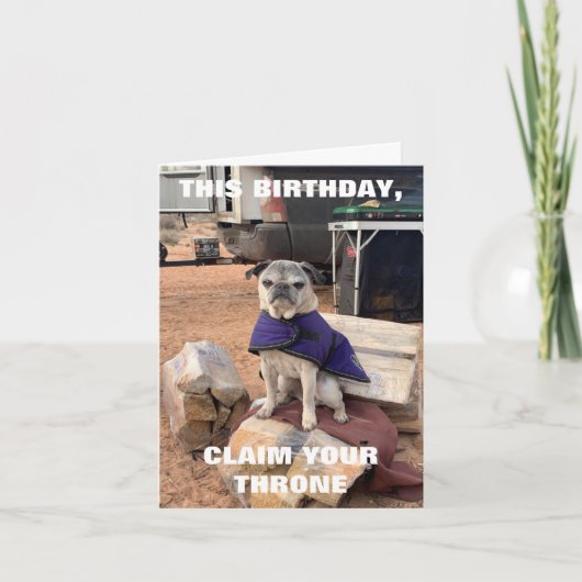 Pug Birthday Kaart | Lily the Pug | sarcastisch (Voorkant)